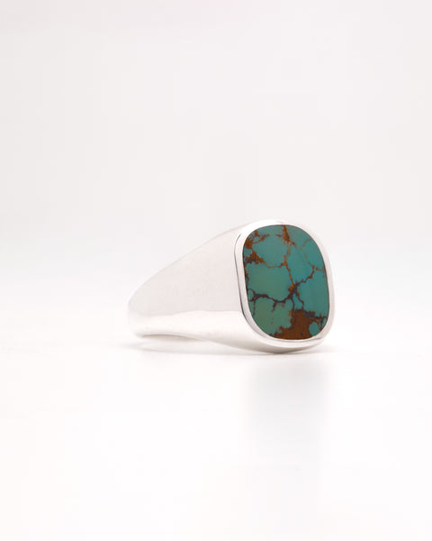 Turquoise in Silver - Size 8 1/2