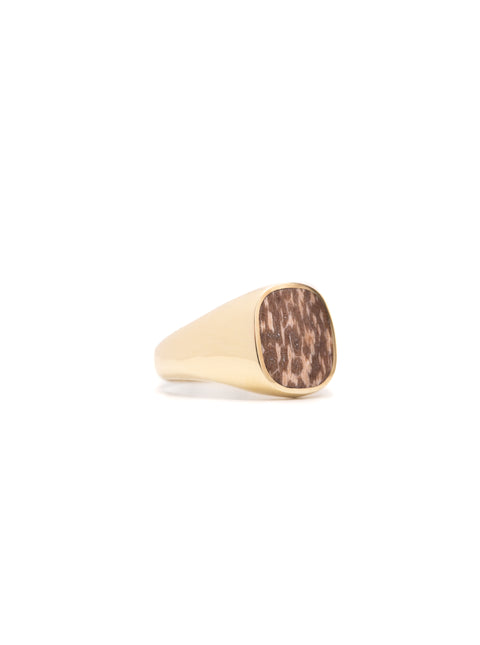 Petrified Palm Signet Ring