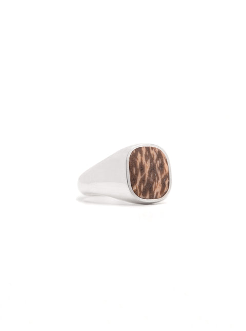 Petrified Palm Signet Ring