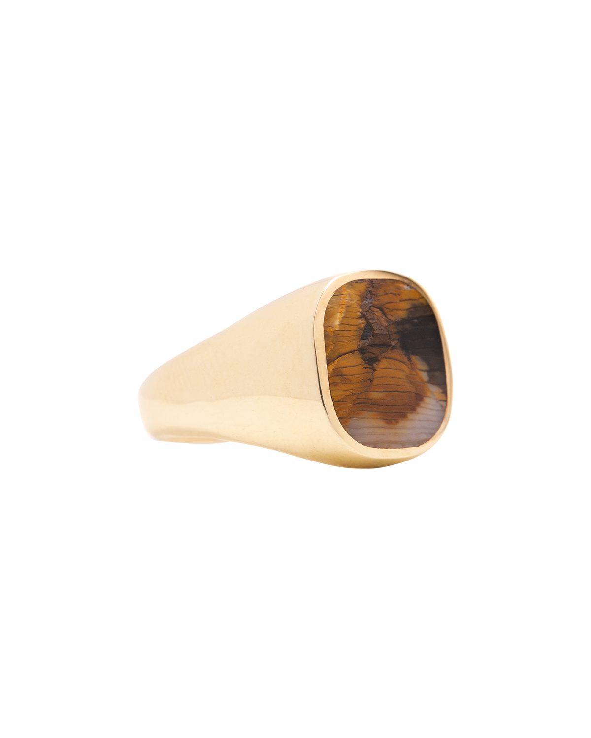 Mens Petrified Sequoia Signet Ring in Sterling Silver, 14k & 18k