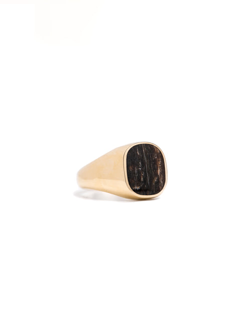 Petrified Walnut Signet Ring