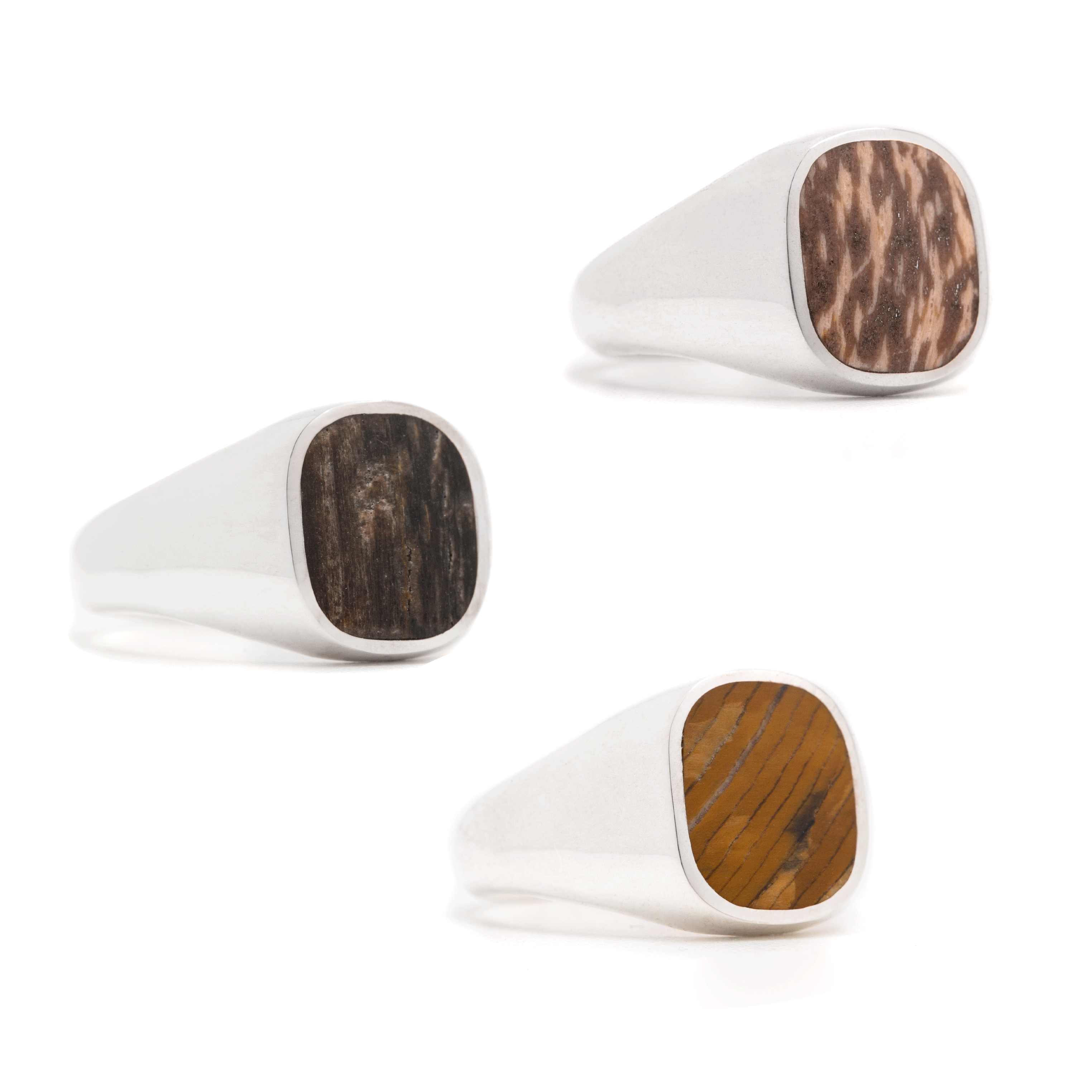 When Wood Becomes Stone: The Petrified Collection