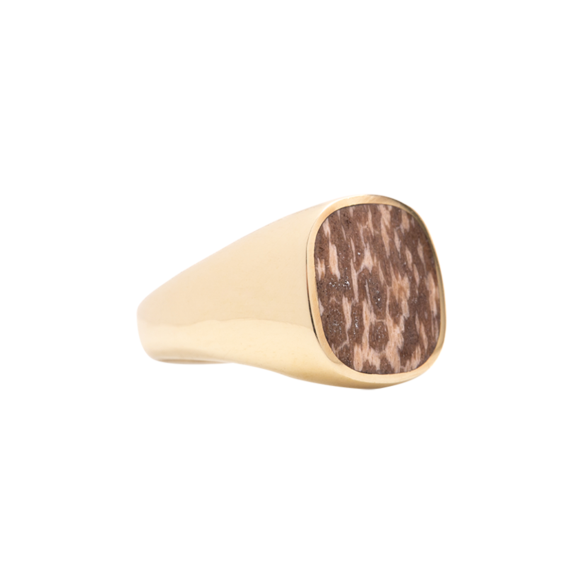 Petrified Palm Signet Ring