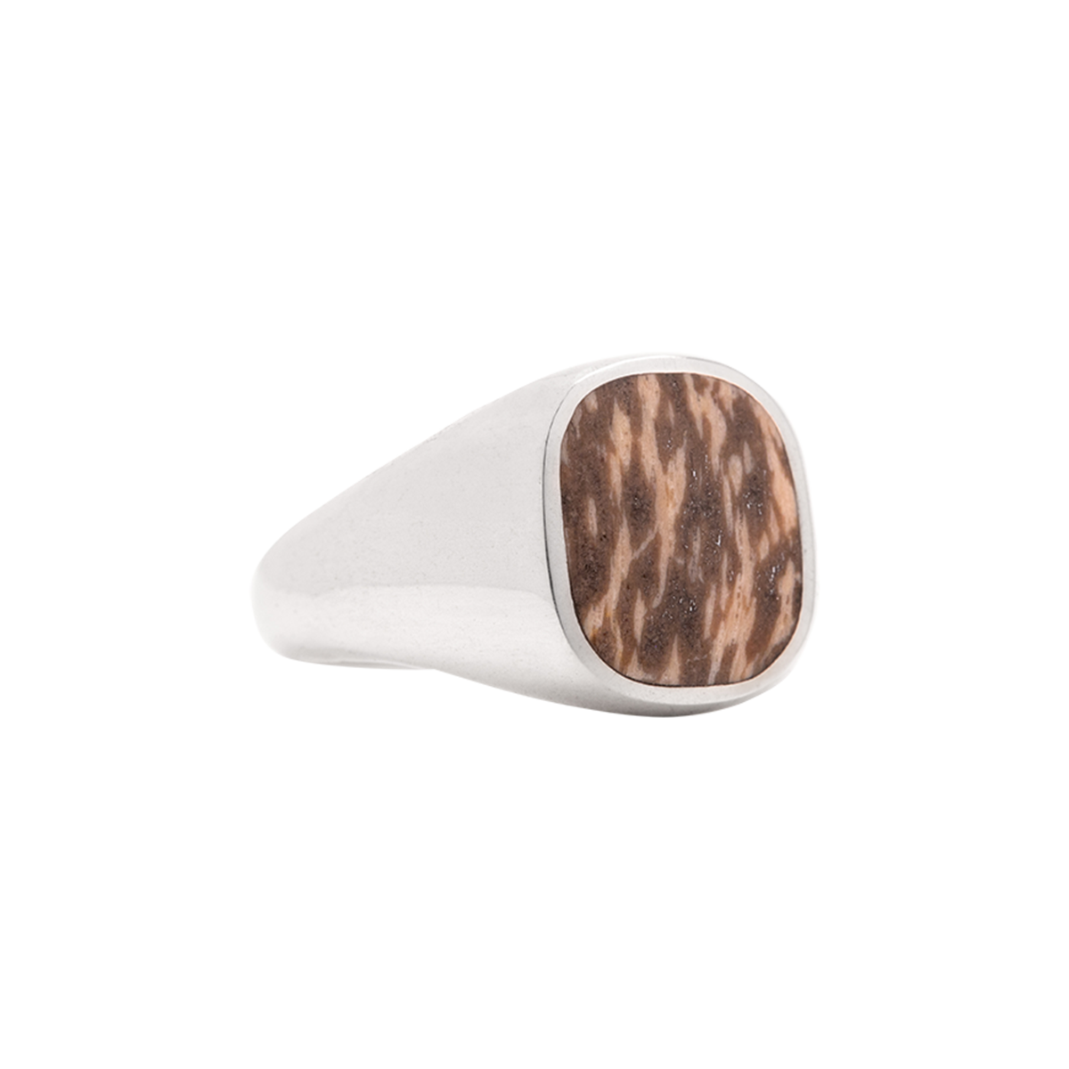 Petrified Palm Signet Ring