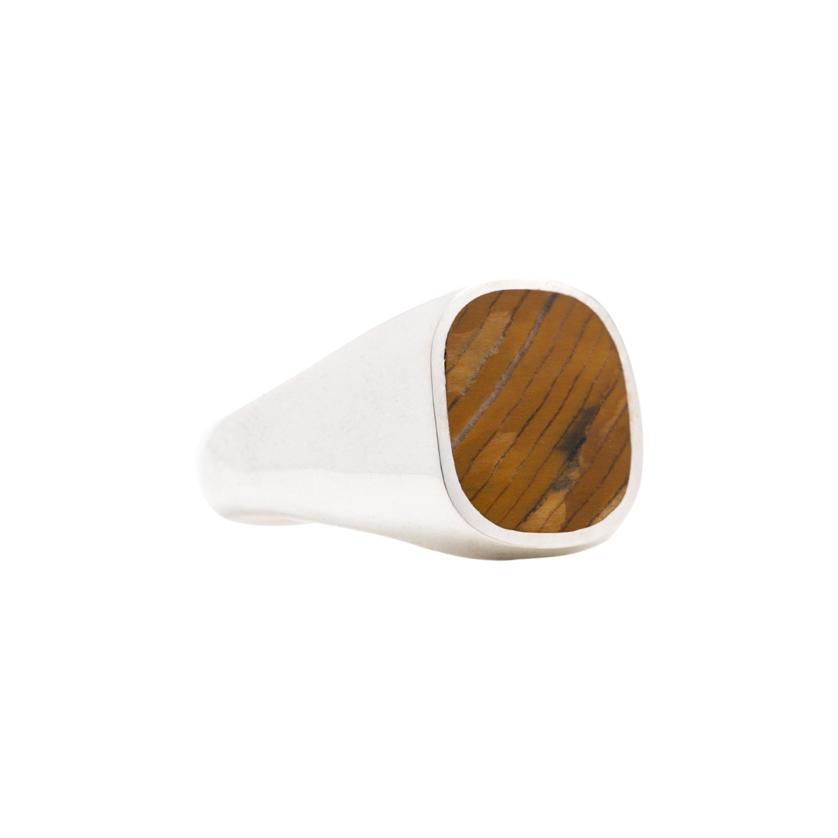 Petrified Sequoia Signet Ring
