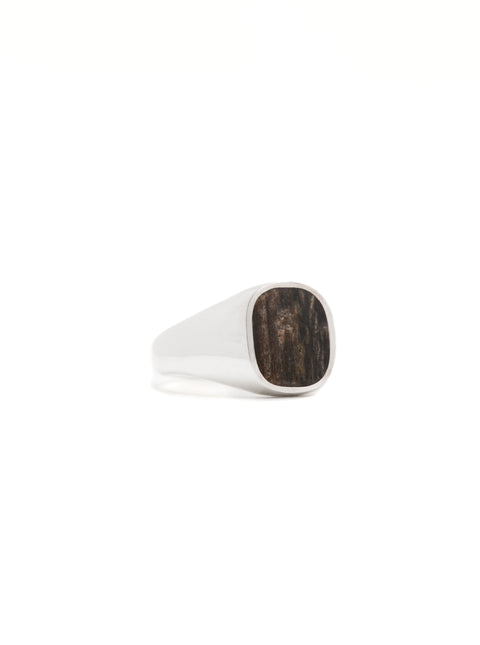 Petrified Walnut Signet Ring