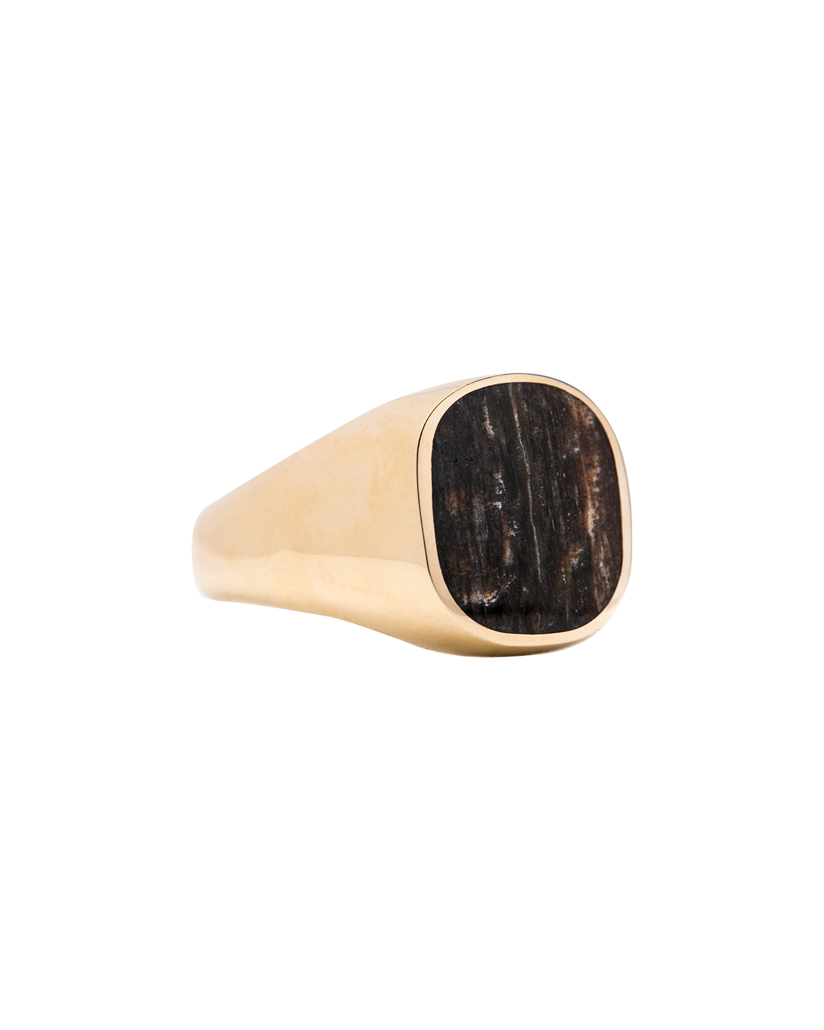 Petrified Walnut Signet Ring