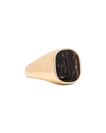 Petrified Walnut Signet Ring 18k Yellow Gold Yes