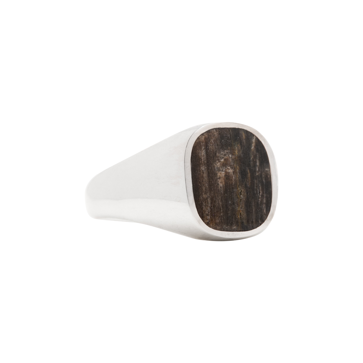 Petrified Walnut Signet Ring